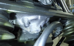 HONDA CL250-2 2010 MC57