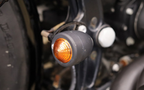 HARLEY FXSTB 2001 BTY