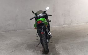 KAWASAKI NINJA150RR KR150P