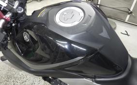 YAMAHA MT-25 2017 RG10J