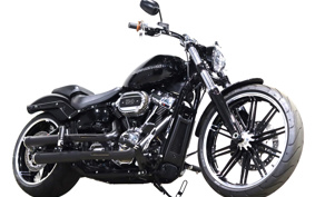 HARLEY FXBRS 2022 YHK