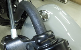 HARLEY FXBBS1870 2025