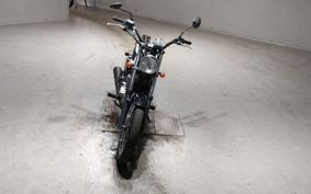 SUZUKI GLASS TRACKER BIG BOY NJ4BA