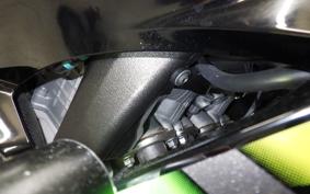 KAWASAKI NINJA ZX-6R A 2019 ZX636G