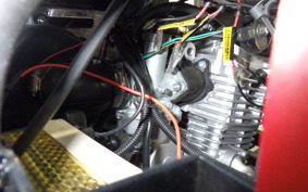 OTHER UNREGISTERED MODEL by BDS TRIKE250 2024