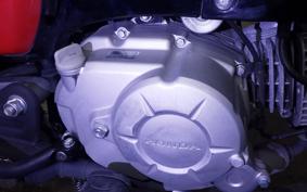 HONDA CROSS CUB 50 AA06