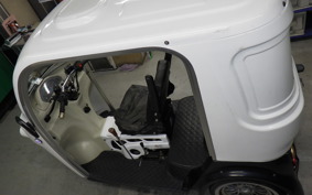 OTHER UNREGISTERED MODEL by BDS TRIKE125 1994