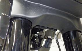 HARLEY FLHX1920 2024