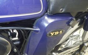 YAMAHA YB-1 2021 F5B