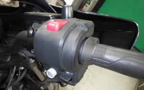 HONDA REBEL 1100 T 2024 SC83