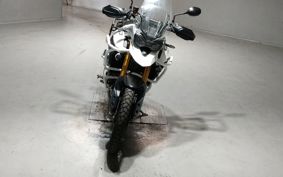 TRIUMPH TIGER 900 RALLY PRO 2021 TRE67D