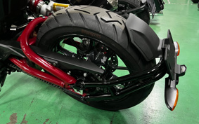 INDIAN FTR CARBON 2021 RTR25