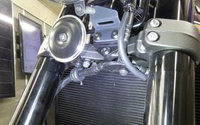 KAWASAKI Z900RS 2025 ZR900K