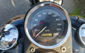 HARLEY FXDL 100th 2003 GDV