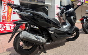 HONDA FORZA 250 MF13