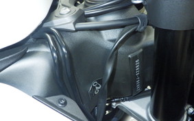 KAWASAKI NINJA ZX-6R A 2026 ZX636J