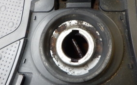 HONDA ZOOMER 2024 AF58