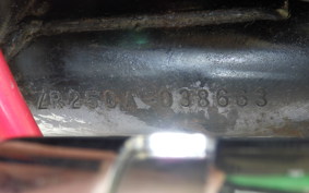 KAWASAKI BALIUS 250 ZR250A