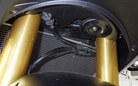 HONDA CBR1000RR RSP 2024