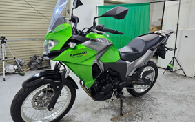 KAWASAKI VERSYS-X 250 ABS LE250D