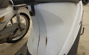 SUZUKI ADDRESS V100