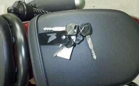 HONDA REBEL 250 S 2012 MC49