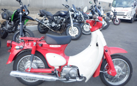 HONDA LITTLE CUB AA01