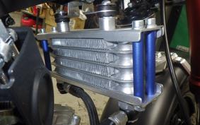 HONDA UNREGISTERED MODEL by BDS125 2019 GC