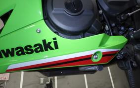 KAWASAKI NINJA 250 2023 EX250Y