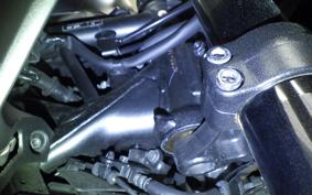 HONDA NX400 2024 NC65