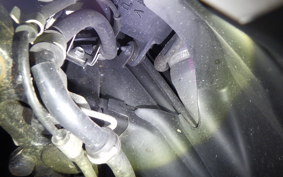 YAMAHA CYGNUSｸﾞﾘﾌｧｽ 2024 SEJ4J