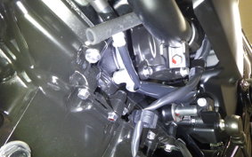 KAWASAKI Z900RS 2025 ZR900K