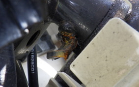 YAMAHA VINO 50 Gen.4 AY02