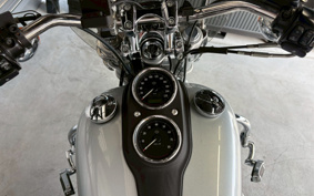 HARLEY FXDL1580 2015 GN4