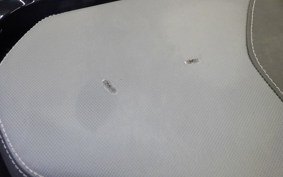 HONDA PCX125 2022 JK05