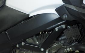 SUZUKI Vストローム650XTA 2019 C733A