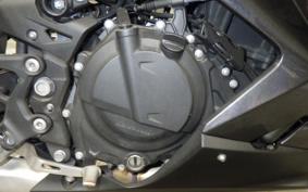 KAWASAKI NINJA 250 2021