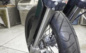 KAWASAKI KLX250D TRACKER 2020 LX250E