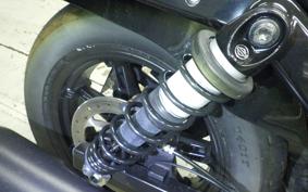 HARLEY RH975 2022