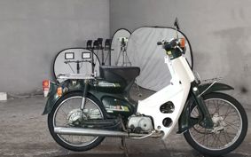 HONDA SUPER CUB50 C50