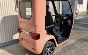 OTHER VEHICLE FUN EVTUKTUK ...