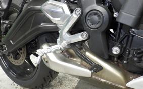TRIUMPH TRIDENT 660 2025