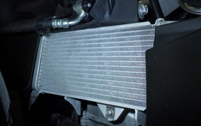 YAMAHA YZF-R125 2021 RE45J