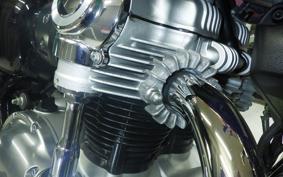 KAWASAKI W800 2022 EJ800E