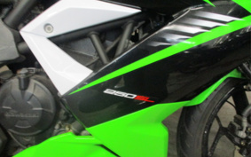 KAWASAKI Ninja 250SL BX250A