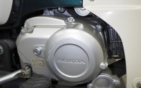 HONDA C110 SUPER CUB