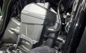 HONDA REBEL 1100 DCT 2022 SC83