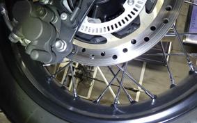 TRIUMPH BONNEVILLE T100 2024