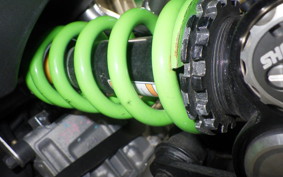 KAWASAKI ZX-4RR 2024 ZX400P