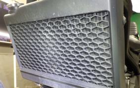 HONDA REBEL 250 S 2019 MC49